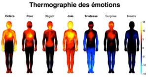 Thermographie Des Emotions
